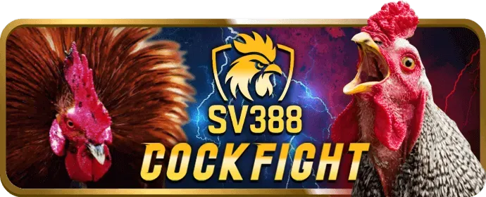 Liên hệ hỗ trợ vin7773